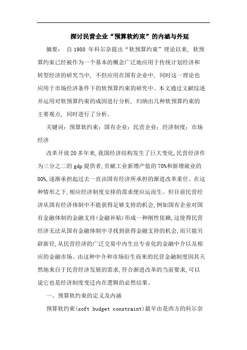探讨民营企业“预算软约束”的内涵与外延