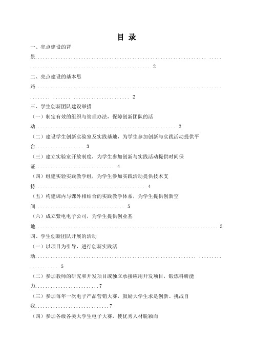 学生创新团队建设举措