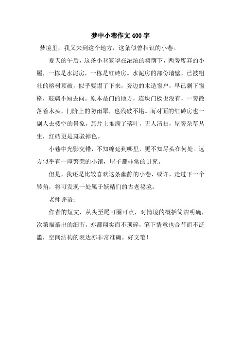梦中小巷作文400字