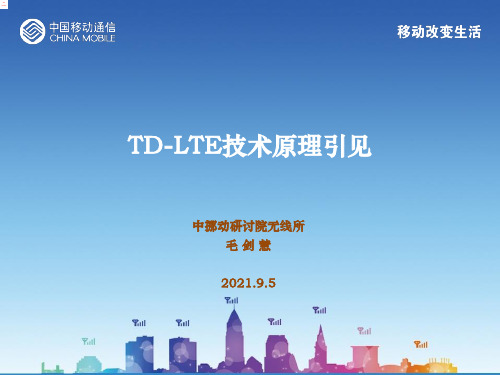 川移动讲课材料-TD-LTE技术原理介绍ppt课件