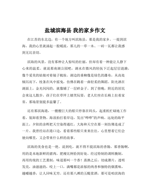 盐城滨海县 我的家乡作文