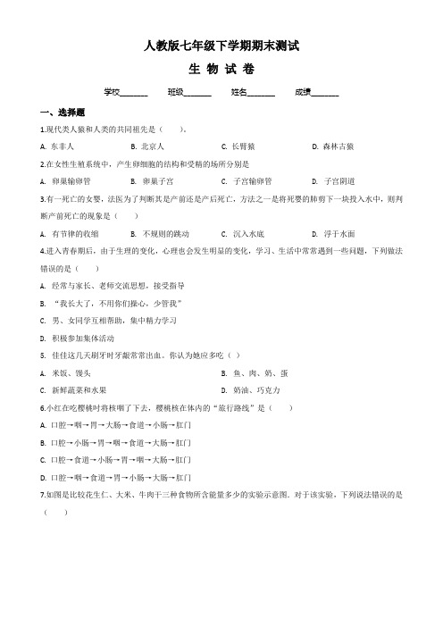 2020人教版七年级下册生物《期末检测卷》含答案