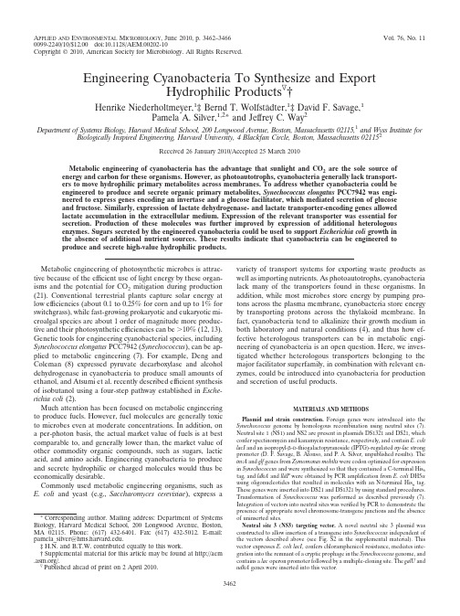 AEM lactate cyano 2010