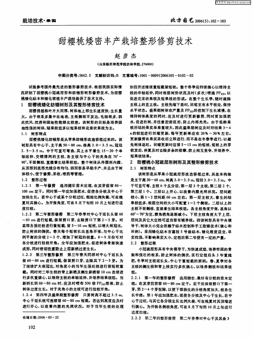 甜樱桃矮密丰产栽培整形修剪技术