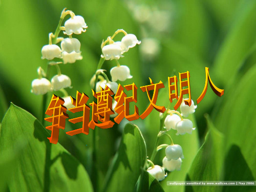 (二年级)文明礼仪课PPT课件