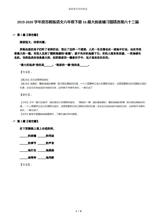 2019-2020学年度苏教版语文六年级下册16.最大的麦穗习题精选第六十三篇