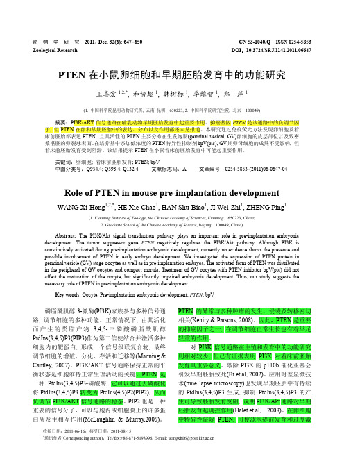 PTEN在小鼠卵细胞和早期胚胎发育中的功能研究