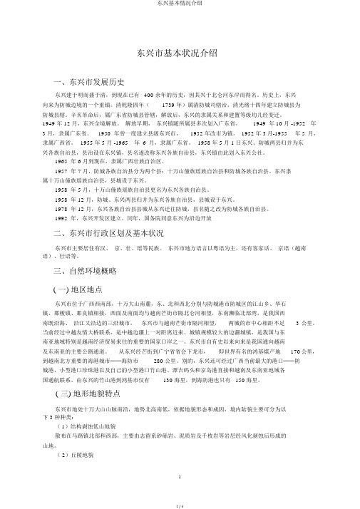 东兴基本情况介绍