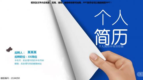 【原创PPT模板】个人简历中项目经验