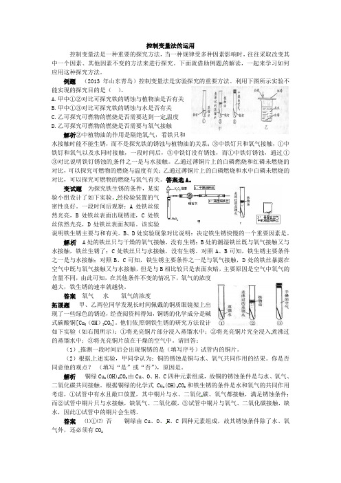 初中化学控制变量法的运用