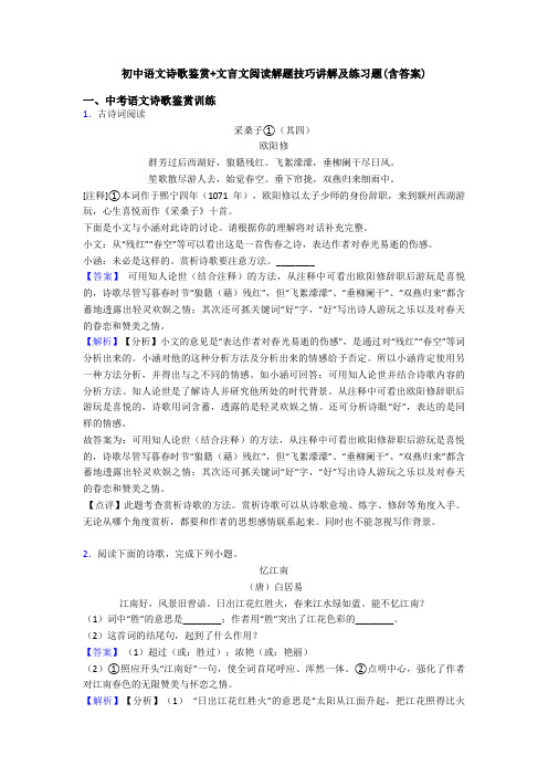 初中语文诗歌鉴赏+文言文阅读解题技巧讲解及练习题(含答案)