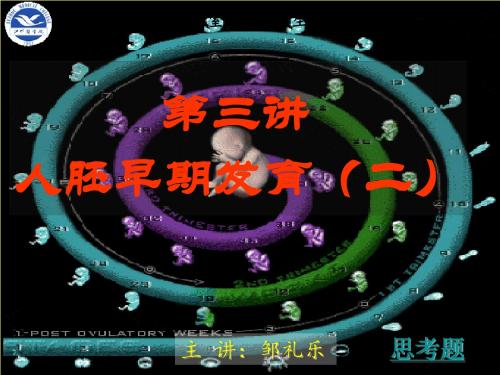 发育生物学第三讲
