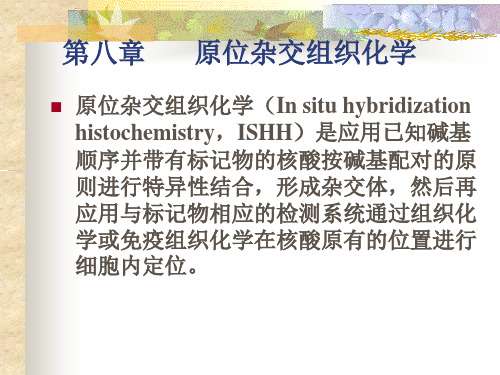 第七章  原位杂交