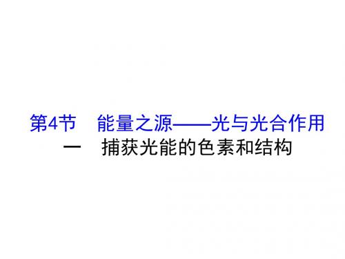 《课时讲练通》2017-2018学年高中生物(人教版)必修一配套课件：5-4-1捕获光能的色素和结构