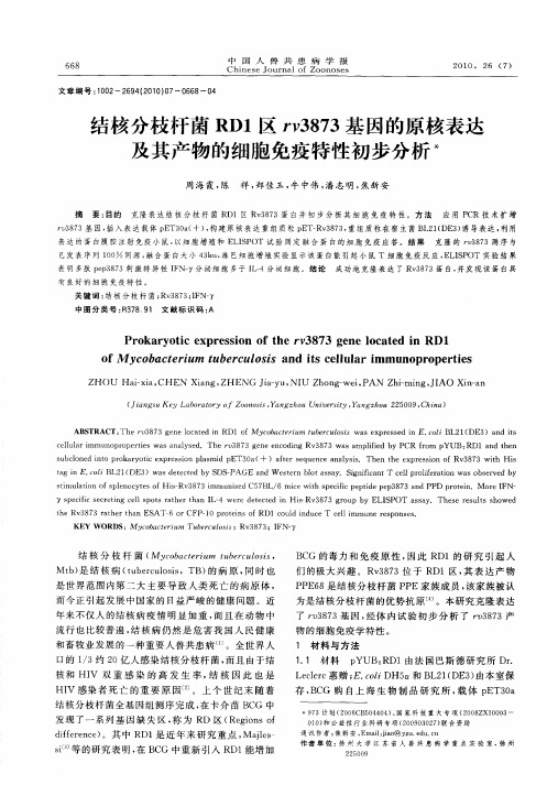 结核分枝杆菌RD1区rv3873基因的原核表达及其产物的细胞免疫特性初步分析
