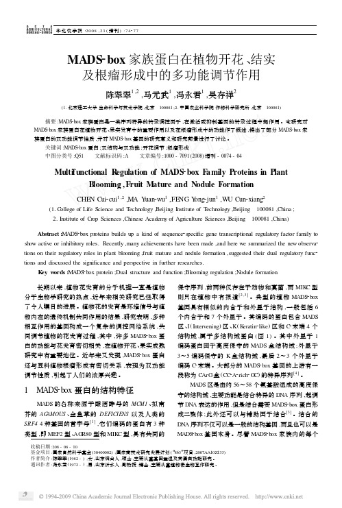MADS_box家族蛋白在植物开花_结实及根瘤形成中的多功能调节作用