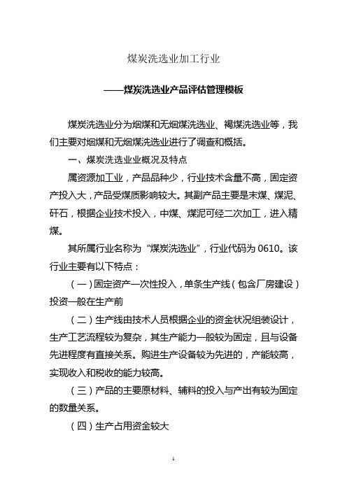 煤炭洗选业评估模板