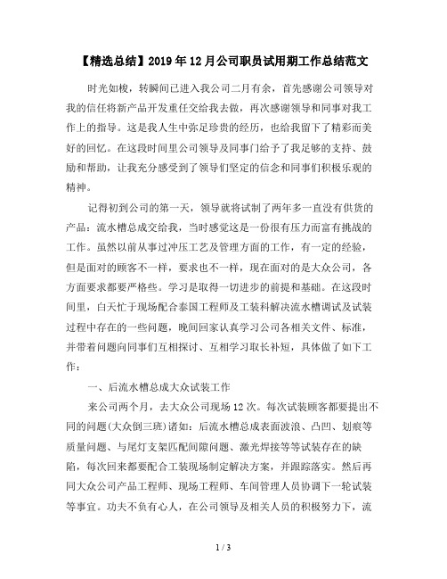 【精选总结】2019年12月公司职员试用期工作总结范文