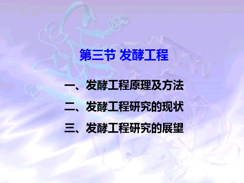 10 现代生物技术_发酵工程