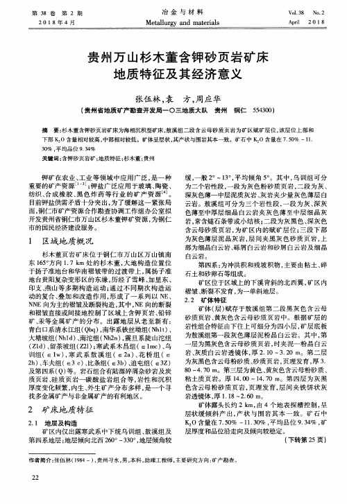 贵州万山杉木董含钾砂页岩矿床地质特征及其经济意义