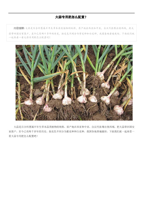 大蒜专用肥怎么配置