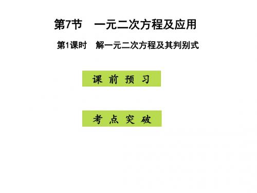 广东省开发区一中人教版数学中考复习课件：第7节一元