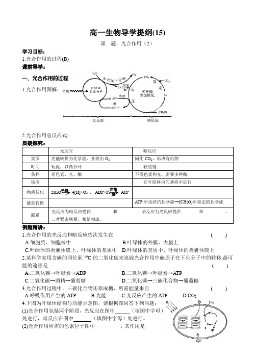 光合作用二