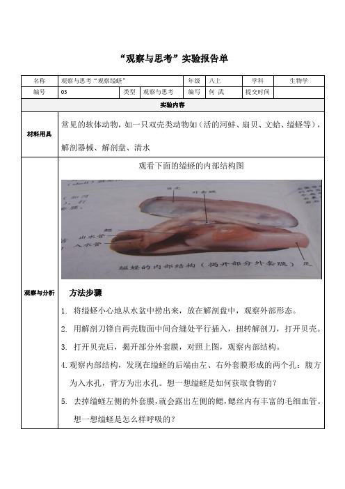 “观察与思考”软体动物的实验报告单-何武