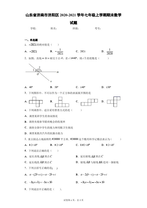 山东省济南市济阳区2020-2021学年七年级上学期期末数学试题