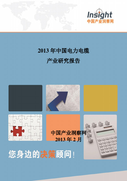 2013年中国电力电缆产业研究报告