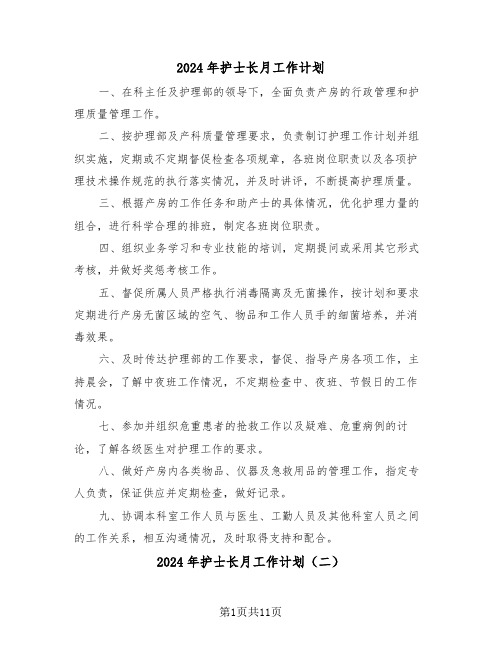 2024年护士长月工作计划（五篇）