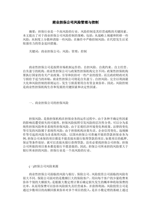 商业担保公司风险管理与控制