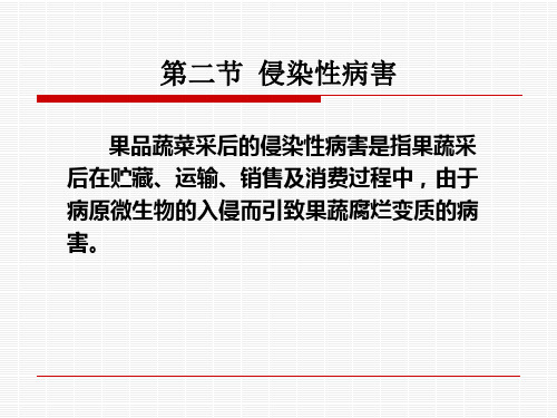 7果蔬产品采后病害及其防治22
