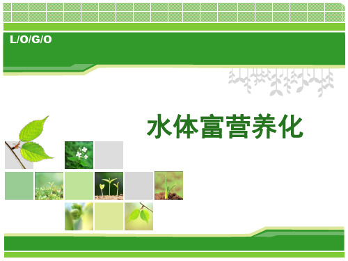 水体富营养化