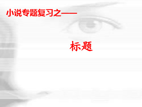 小说标题