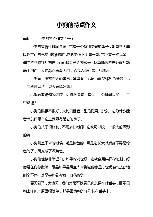 小狗的特点作文