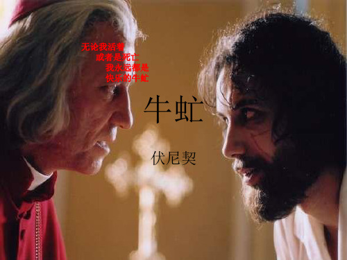 《牛虻》ppt解析