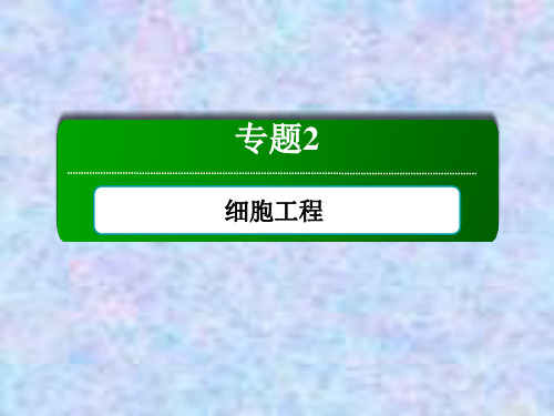 2020-2021学年生物人教版选修3课件：专题2 细胞工程 专题整合与评估 