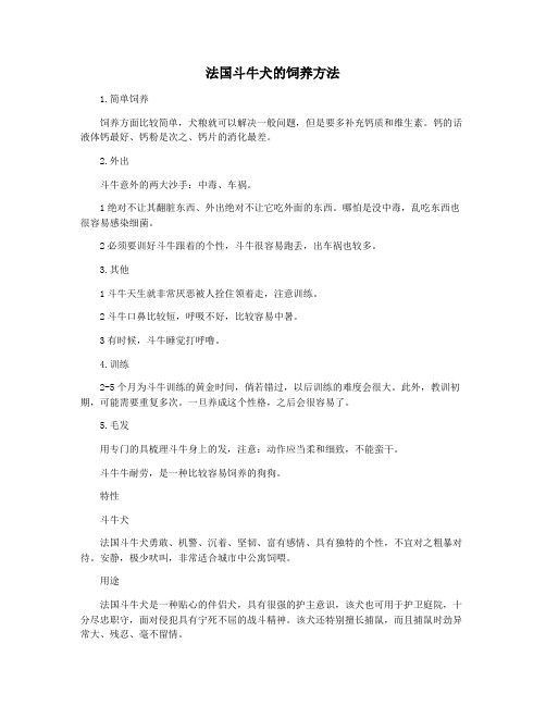 法国斗牛犬的饲养方法