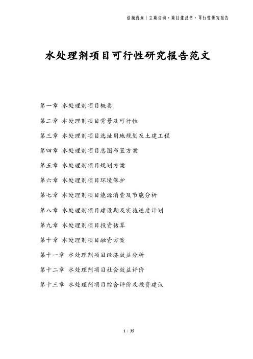 水处理剂项目可行性研究报告范文