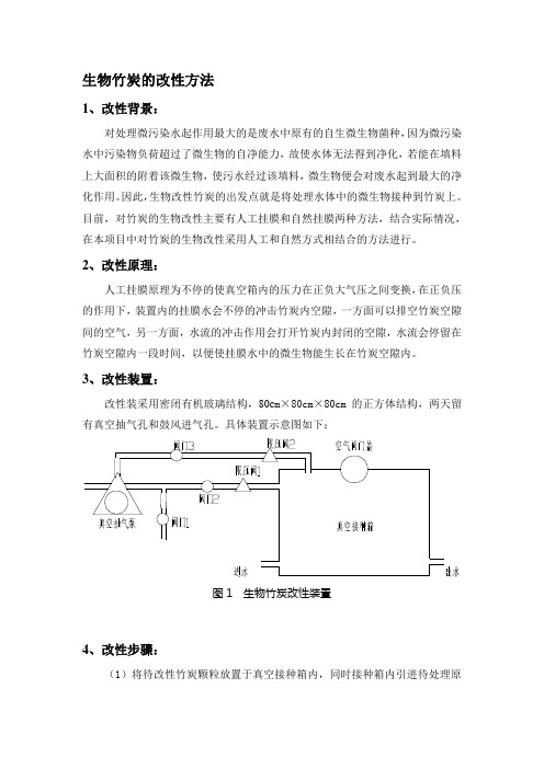 竹炭改性