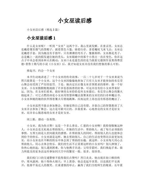 小女巫读后感