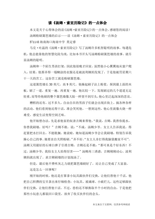 读《汤姆·索亚历险记》的一点体会_心得体会