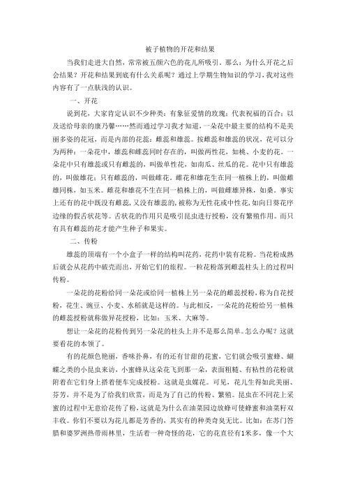 被子植物的开花和结果