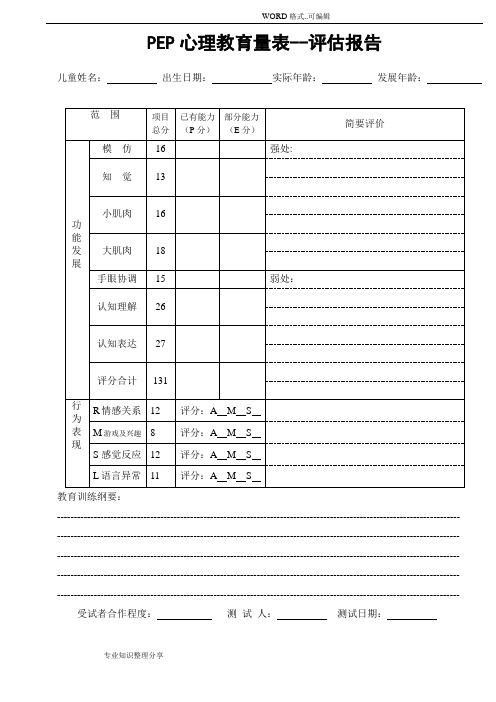 PEP_3心理教育量表__评估报告书模板