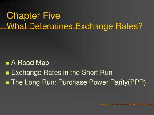 chapter5 浙江工商大学 国际金融(英)课件