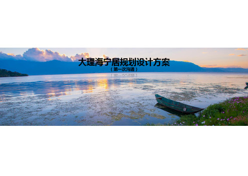 大理项目前期