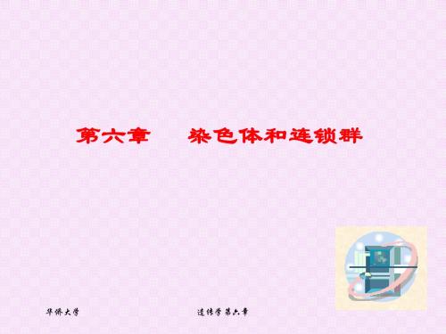 第六章   染色体和连锁群-2