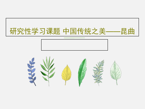 研究性学习课题 中国传统之美——昆曲17页PPT