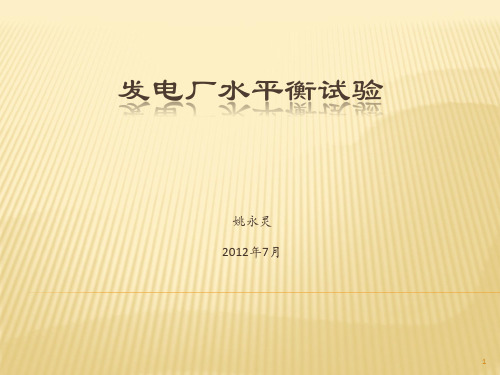 发电厂水平衡试验